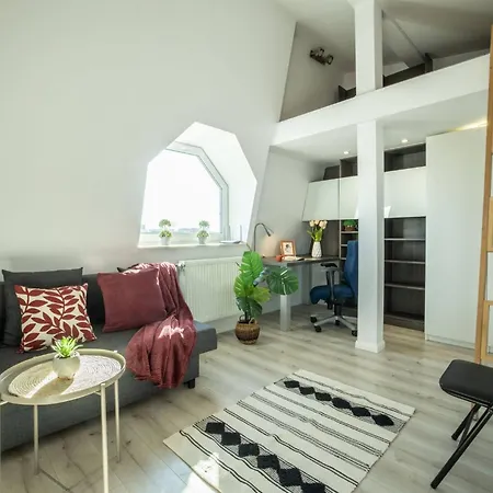 Centric Rooftop 4 Bedroom Premium Lejlighed Łódź
